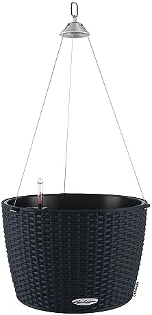 Hanging Planters