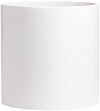 Brea Round Cylinder Fiberglass Planter, White, D:14" x H:14" by Root+and+Stock