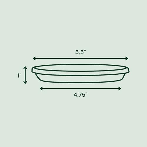 Bloem Terra Plastic Saucer Tray for 6" Terra Planters, Terra Cotta, 10-Pack - Image 2