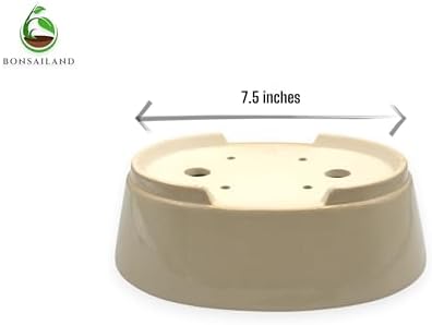 Ceramic Bonsai Pot, Beige, Oval Shaped Planter with Drainage Holes, 9 x 7 Inches x 3 inches high - Image 6