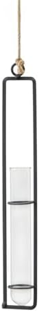 Hanging Glass Vase with Iron Frame, Wall Mounted Plant Holder for Single Stem, Matte Black Industrial Decor (1 PC) by Unknown