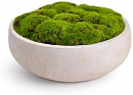 Hand Painted Cement Moss Bowl | 12 Inch | Artificial Moss Centerpiece | Decorative Coffee Table Bowl - Image 5