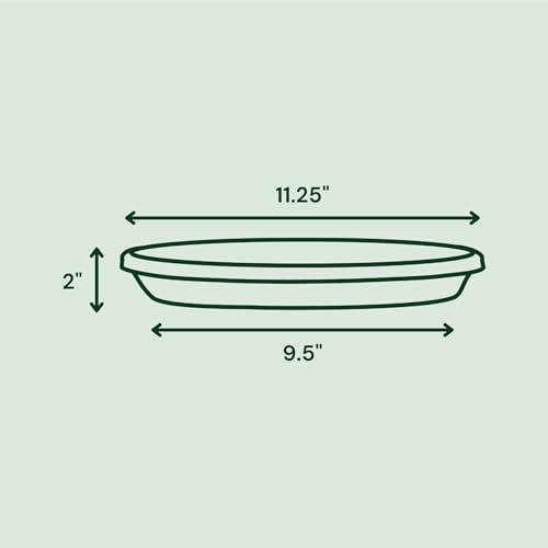 Bloem Terra Plastic Saucer Tray for 12" Terra Planters, Navy, 6-Pack - Image 2