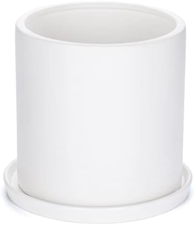 Plant Pots 10 Inch Ceramic Planter with Drainage Hole and Saucer, Matte White Modern Cylinder Planter Pot for Indoor Outdoor Plants Flowers, Full Glazed Finish by SANDYBAYTAS