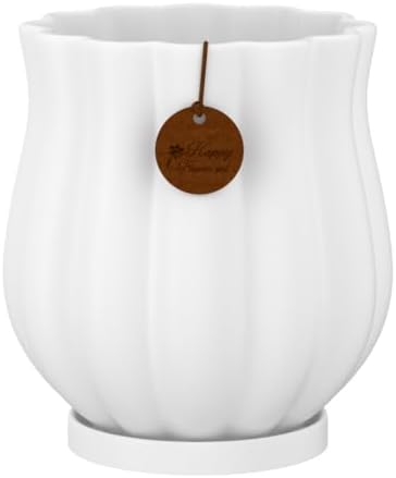 7.1" Matte White Ceramic Plant Pot with Saucer by XiHuaer