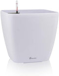 Dexceder 13x12 Self Watering Planter with Wheels (White Matte) by Dexceder