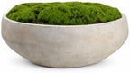 Hand Painted Cement Moss Bowl | 12 Inch | Artificial Moss Centerpiece | Decorative Coffee Table Bowl by Unknown
