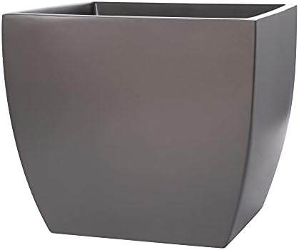 Pacifica Square Curved Fiberglass Planter, Grey, 16 Inch by Root+and+Stock