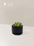 LE TAUCI Ceramic Pots for Plants, 4.3+5.3+6.8 Inch, Set of 3, Black - Image 3