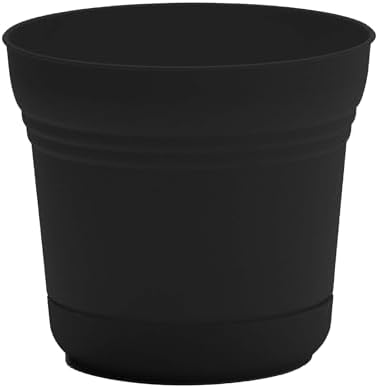 Bloem Saturn 10" Plastic Planter with Saucer, Black, 4-Pack - Image 6