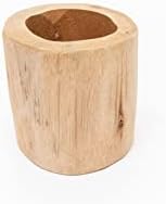 Air Plant Shop Driftwood Container with Custom Air Plant - Succulents - Live Tillandsia - Easy Care Indoor and Outdoor House Plants (Xerographica) - Image 2