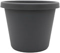 The HC Companies Prima Round Plastic Plant Pot w/Rolled Rim - Lightweight & UV Resistant Flower Pot for Herbs & More - Outdoor & Indoor Plant Pots w/Drainage (14 inch, Warm Gray, Pack of 1) by TheHCCompanies