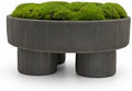 Quad Pedestal Moss Bowl | 11 Inch Matte Black | Artificial Moss Centerpiece | Modern Decorative Bowl by Unknown