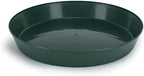 12in Saucers Case of 10, Hunter Green - Image 3
