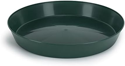 12in Saucers Case of 10, Hunter Green - Image 3
