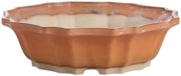 Willow Bonsai Ceramics Flower Design Bonsai Pot 10 Inch – Elegant Ceramic Bonsai & Succulent Pot, High‑Fired Frost‑Proof Stoneware with Drainage+Wiring Holes, Handmade USA (Deep Stone, 10inch) by Handmade