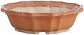 Willow Bonsai Ceramics Flower Design Bonsai Pot 10 Inch – Elegant Ceramic Bonsai & Succulent Pot, High‑Fired Frost‑Proof Stoneware with Drainage+Wiring Holes, Handmade USA (Deep Stone, 10inch) by Handmade