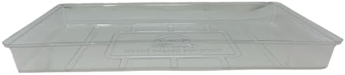 Daisy J&M Humidity Domes 25ct by DaisyJM