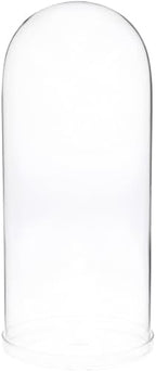 Plymor 5.5" x 13" Glass Display Dome Cloche (Clear Glass Tray Base), Pack of 4 by Plymor