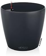 Lechuza 13244 Classico Color 43 Self-Watering Planter for Indoor and Outdoor Use, 17" x 17" x 16", Slate Matte by LECHUZA