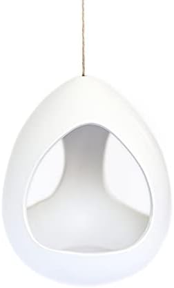 Large White Ceramic Hanging Pod with Two Assorted Air Plants - Live Tillandsia in Plant Holder - Wholesale and Bulk - Home and Garden Decor - Easy Care Indoor and Outdoor Plants South America - Image 3
