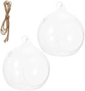 2pcs Glass Hanging Globe Terrarium for Succulents and Plants by Happyyami