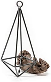 5 Pack Black Metal Pendant Hanging Planter with Assorted Medium Air Plant - Macrame Holder for Indoor Plants - Succulent Plant Hanger - Available in Wholesale and Bulk- Home and Garden Décor - Image 3