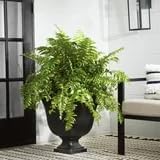 Resin Planter Urn, Black Square Planter,Easy Knock-Out Drainage Holes - Image 4