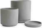D'vine Dev 2-Pack Ceramic Pots with Saucers, 6/8 in, Grey, 94-G-M-3 by DvineDevPlanterPotsandStand