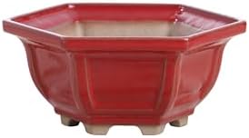 Willow Bonsai Ceramics Hexagonal Windowed Semi-Cascade Bonsai Pot, 5inch, Plant Container, Succulant Pot, High Fired Ceramic Stoneware, Frost Proof (Red) by Handmade