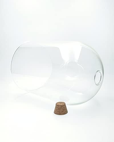 Handblown 12" Glass Terrarium with Opening for Air Flow & Cork Stopper Cloche Style Glass Dome Vivarium Display Case (Extra Large) - Image 3