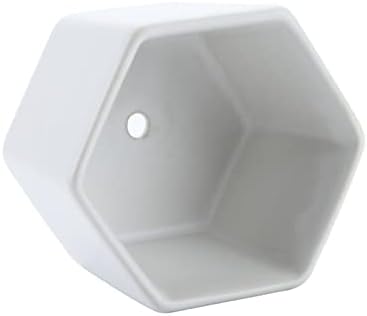 HASMI Plant pots Set of 2 Hexagon Ceramic Flower Pot for Cactus Succulent Plants Tray Planter Home Garden Decoration (2 pots + 2 Trays) Flower Pots - Image 6