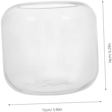 Glass Plant Terrarium Jar for Hydroponic Plants and Micro Landscapes - Image 2