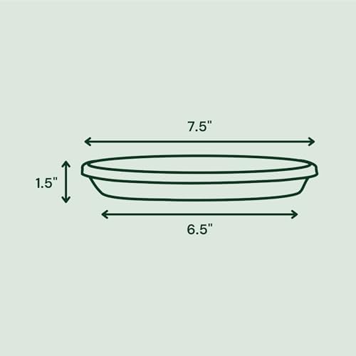 Bloem Terra Plastic Saucer Tray for 8" Terra Planters, Terra Cotta, 6-Pack - Image 2