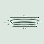 Bloem Terra Plastic Saucer Tray for 8" Terra Planters, Terra Cotta, 6-Pack - Image 2