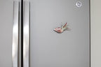 Handmade Seashell Magnets with Ionantha Air Plants - Live Tillandsia Succulent House Plants - Available in Wholesale and Bulk - Home and Garden Decor - Easy Care Indoor and Outdoor Plants (Pack of 50) - Image 3