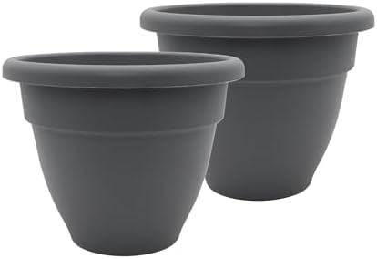 The HC Companies 12 Inch Caribbean Planter Pots with Drainage & Plug, Rolled Rim Plastic Planters for Indoor & Outdoor Plants, 2-Pack Decorative Flower Pots for Garden, Office & Home Decor, Warm Gray by TheHCCompanies
