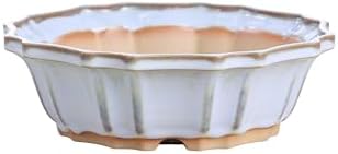Willow Bonsai Ceramics Flower Design Bonsai Pot 8 Inch – Elegant Ceramic Bonsai & Succulent Pot, High‑Fired Frost‑Proof Stoneware with Drainage+Wiring Holes, Handmade USA (Glacier, 8inch) by Handmade
