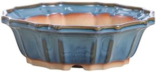 Willow Bonsai Ceramics Flower Design Bonsai Pot 8 Inch – Elegant Ceramic Bonsai & Succulent Planter, High‑Fired Frost‑Proof Stoneware with Drainage & Wiring Holes, Handmade in USA (Peacock 2025) by Handmade