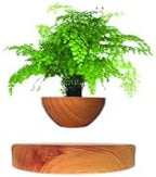 Planting Flower pots,Levitating Plant Pot,Magnetic levitation,Floating Plant Pot,Floating Plant,Hanging Flower pots,Suspendded Flowerpot,Hanging planters for Indoor Plants by LMingKun