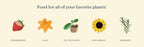 True Organic All Purpose Plant Food Granular Fertilizer 4.5 lb Jug - CDFA, OMRI Listed for Organic Gardening NPK 5-4-5 (Pack of 2) - Image 2
