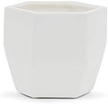 WGV Geometric Ceramic Vase, Width 5.5", Height 5", Matte White Hex Flower Pot, Folded Trendy Planter for Wedding Event Office Home Decor, 1 Piece by WGVInternational-OpusGlassware