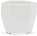 WGV Geometric Ceramic Vase, Width 5.5", Height 5", Matte White Hex Flower Pot, Folded Trendy Planter for Wedding Event Office Home Decor, 1 Piece by WGVInternational-OpusGlassware