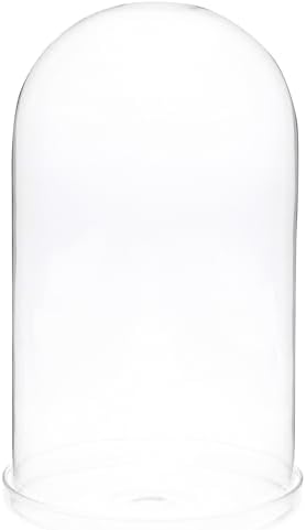 Plymor 5.5" x 10" Glass Display Dome Cloche (Clear Glass Tray Base) by Plymor