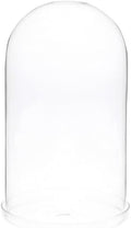 Plymor 5.5" x 10" Glass Display Dome Cloche (Clear Glass Tray Base) by Plymor