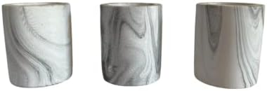 Air Plant Decor Air Plant Holder, 3 Ceramic Tabletop Modern Planter, 1 Solid Red Cedar Holder Made in The USA, Plus 6 Free Tillandsia (Modern Gray) - Image 3
