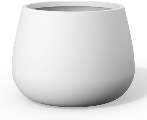 Kante Modern Home Minimalist 12.6" Dia Snow White Concrete Curved Planter by Unknown
