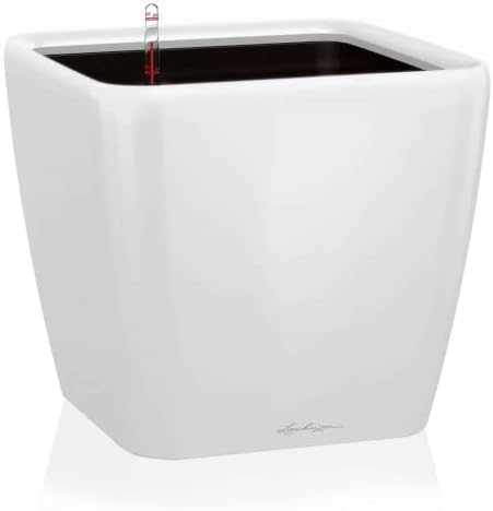LECHUZA 16120 Quadro LS 21 Self-Watering Planter, Cream White High Gloss by LECHUZA