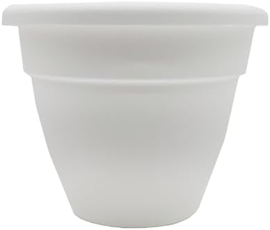 The HC Companies Caribbean Planter Pot - Outdoor & Indoor Plant Pot with Drainage Hole & Plug - Rolled Rim Plastic Pots for Plants & Flowers - Decorative Plant Pot (10" White, Pack of 1) by TheHCCompanies