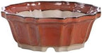 Willow Bonsai Ceramics Flower Design Bonsai Pot 5 Inch – Elegant Ceramic Bonsai & Succulent Pot, High‑Fired Frost‑Proof Stoneware with Drainage+Wiring Holes, Handmade USA (Sunset, 5inch) by Handmade
